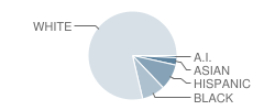 Glenn C Marlow Elementary School Student Race Distribution