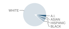 Scotts Creek Elementary School Student Race Distribution