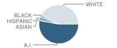 Smokey Mountain Elementary School Student Race Distribution