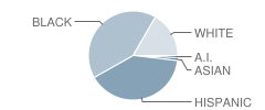 Selma Middle School Student Race Distribution