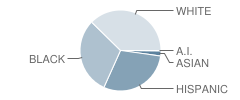 South Smithfield Elementary School Student Race Distribution