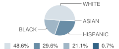 G E Massey Elementary School Student Race Distribution