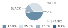 East Middle School Student Race Distribution