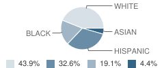 Thornton Elementary School Student Race Distribution