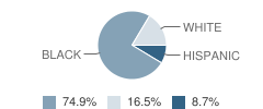 Moss Street Elementary School Student Race Distribution