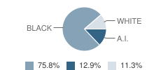 East Laurinburg School Student Race Distribution