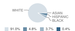 Shoals Elementary School Student Race Distribution