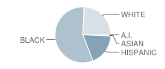 East Garner Middle School Student Race Distribution