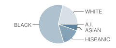 East Millbrook Middle School Student Race Distribution