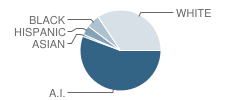 Riverside Elementary School Student Race Distribution