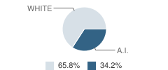 Prairie View Elementary School Student Race Distribution