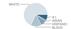 Madison Elementary School Student Race Distribution