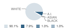 Flasher Elementary School Student Race Distribution