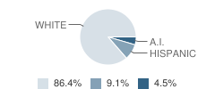 Grenora High School Student Race Distribution