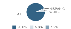 New Town Middle School Student Race Distribution