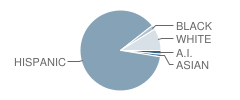 Gomez Heritage Elementary School Student Race Distribution