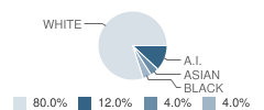 Merriman School Student Race Distribution