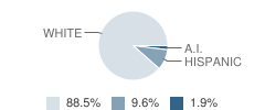 Preschool Learning Academy Student Race Distribution