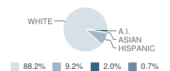 Franklin Elementary School Student Race Distribution
