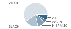 Saratoga Elementary School Student Race Distribution