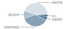 West Lincoln Elementary School Student Race Distribution