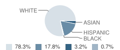 Nebraska City Middle School Student Race Distribution