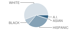 Grant Elementary School Student Race Distribution