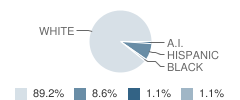 West 5th Elementary School Student Race Distribution