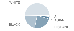 Omaha Public Schools Homebased Student Race Distribution