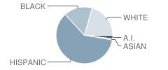 Liberty Elementary School Student Race Distribution