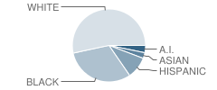 Adams Elementary School Student Race Distribution