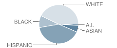 Beals Elementary School Student Race Distribution