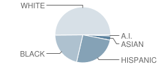 Beveridge Magnet Middle School Student Race Distribution