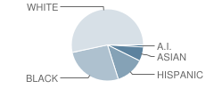 Edison Elementary School Student Race Distribution