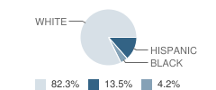 Sutton Elementary School Student Race Distribution