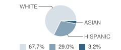 Linden Avenue School Student Race Distribution