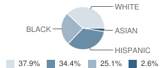 Pauline J  Petway School Student Race Distribution