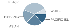 Soaring Heights Charter School Student Race Distribution