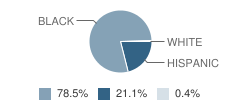 Queen City Academy Charter School Student Race Distribution