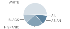 Program 2-Multiply Handicapped School Student Race Distribution