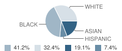 N J Regional Day-Millburn School Student Race Distribution