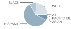 Bogota High School Student Race Distribution