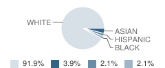 Conover Road Primary School Student Race Distribution