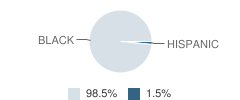 Langston Hughes School Student Race Distribution