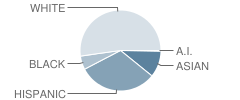 Alfred S. Faust School Student Race Distribution