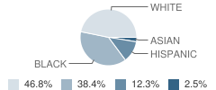 Samuel M Ridgway School Student Race Distribution