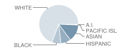 E H Slaybaugh Elementary School Student Race Distribution