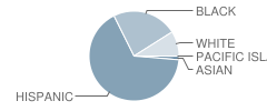 No 17 T Roosevelt School Student Race Distribution