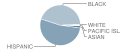 Essex City V N 13th St Newark School Student Race Distribution