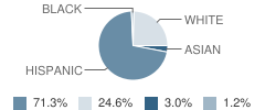 Number 3 School Student Race Distribution